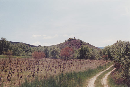 vigne des Clavelas