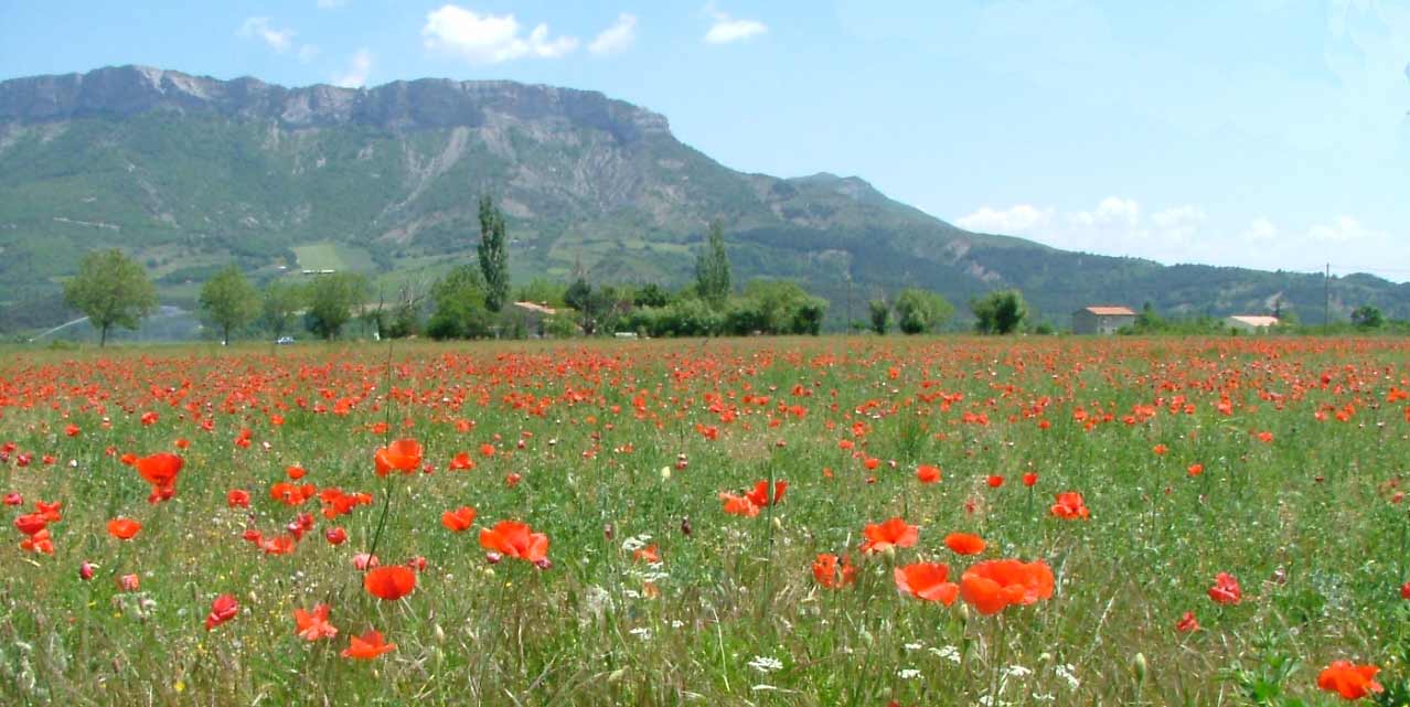 Vue du rocher de Revauyre