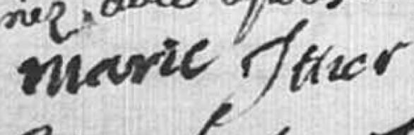 1754-signe-marie_itier.jpg