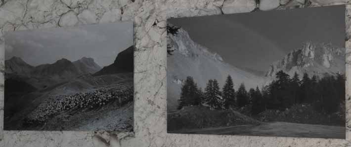 serres lez'arts automne 2018