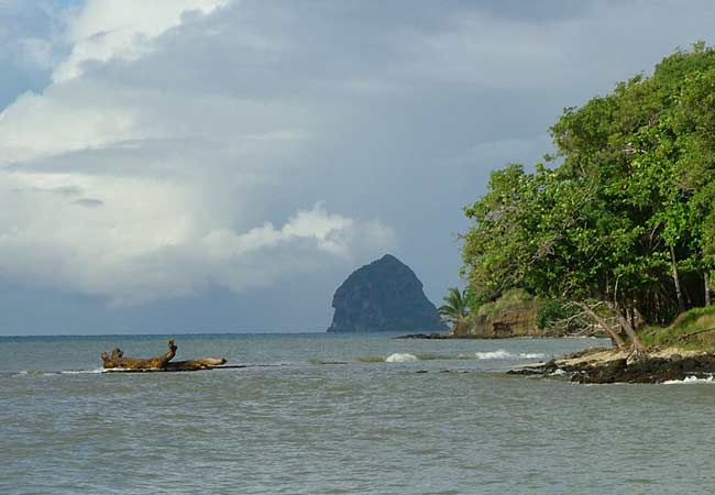 Belle image rapporte de Martinique