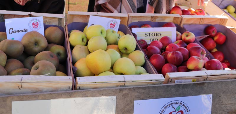 Foire  Orpierre