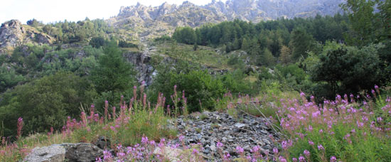 col de fontfroide