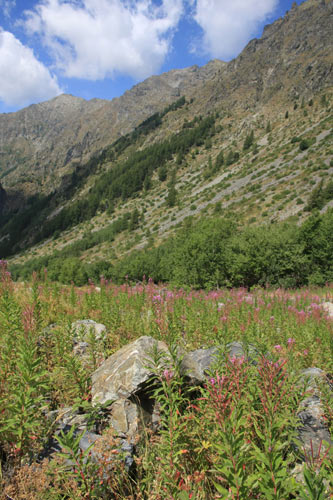 col de fontfroide