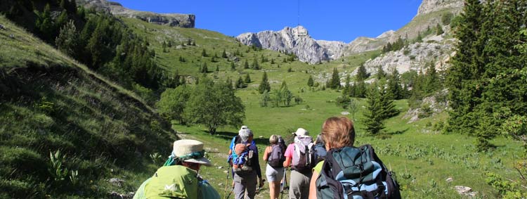 dvoluy Cornes et Crtes de l'ne