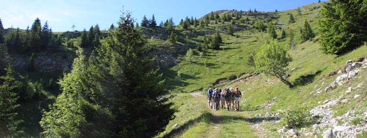 dvoluy Cornes et Crtes de l'ne