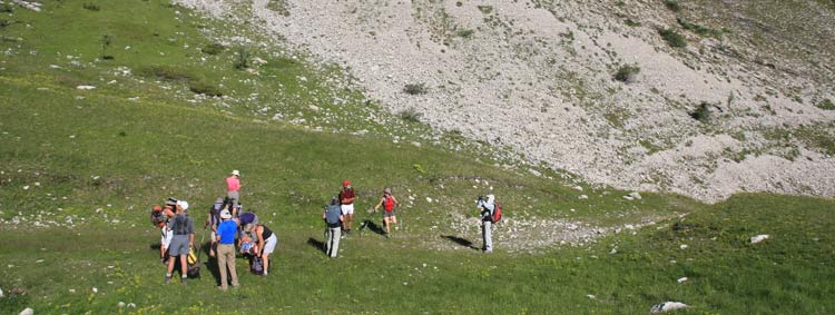 dvoluy Cornes et Crtes de l'ne