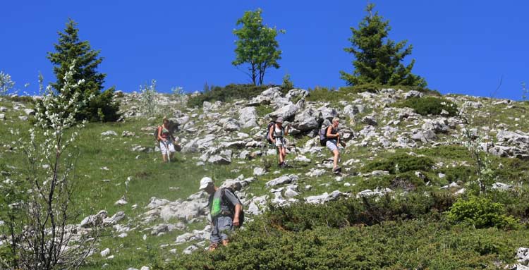 dvoluy Cornes et Crtes de l'ne