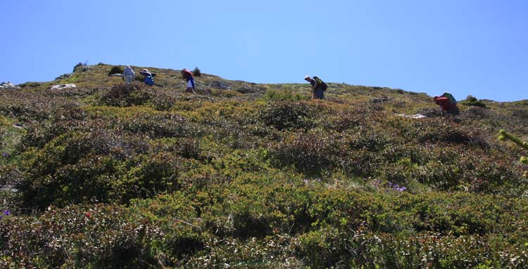 dvoluy Cornes et Crtes de l'ne