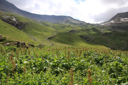 rallon les Gourniers cabane de Chargs