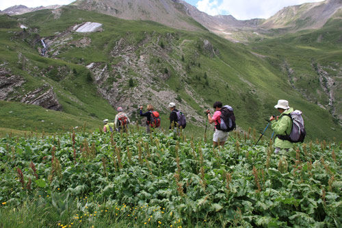 rallon les Gourniers cabane de Chargs