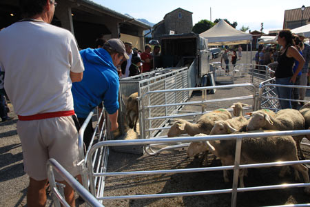 foire de savournon